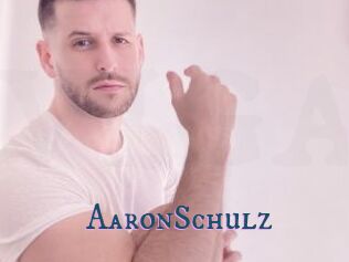 AaronSchulz