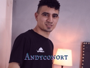 Andyconort