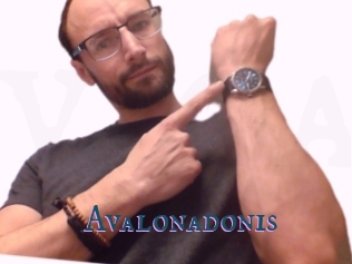 Avalonadonis