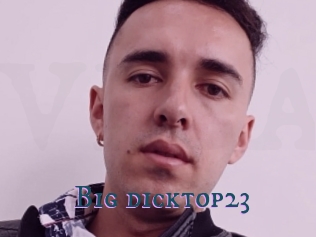 Big_dicktop23