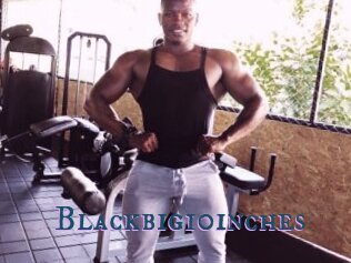 Blackbig10inches