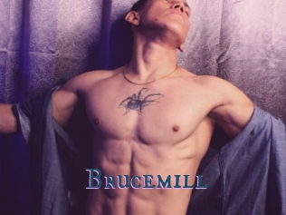 Brucemill