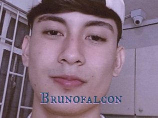 Brunofalcon