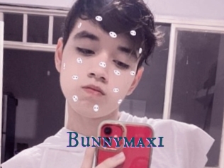 Bunnymaxi