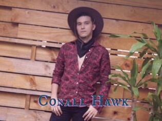 Conall_Hawk