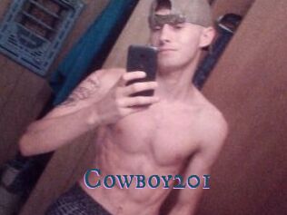 Cowboy201