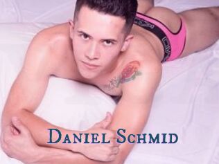 Daniel_Schmid