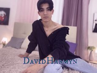 DavidHarmyn