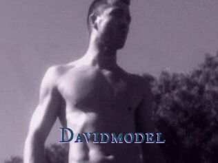 Davidmodel