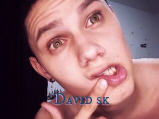 David_sk