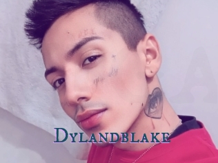 Dylandblake