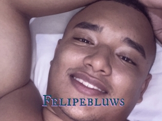 Felipebluws