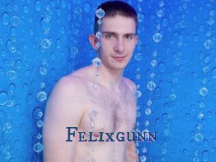 Felixgunn