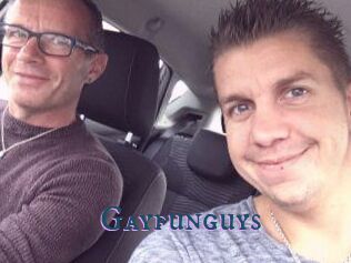 Gayfunguys