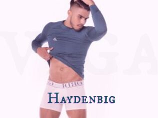 Haydenbig