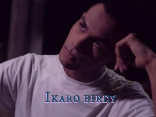 Ikaro_birdy