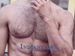 Indiansnake