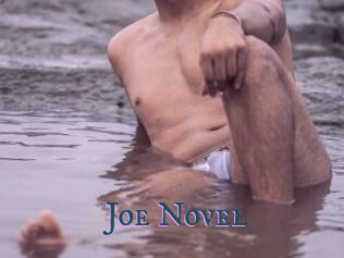 Joe_Novel