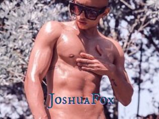 JoshuaFox