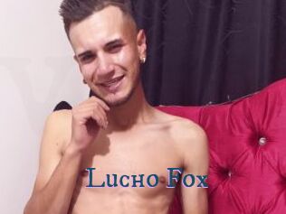 Lucho_Fox