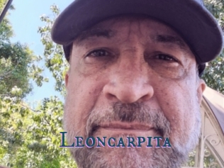 Leoncarpita