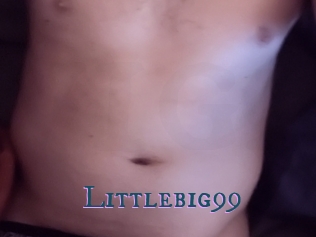 Littlebig99