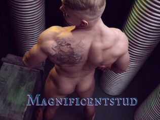 Magnificentstud