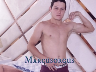 Marcusorgus