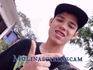 Molinascarloscam