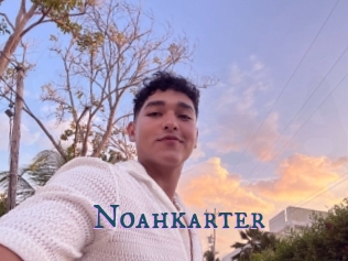 Noahkarter