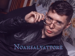 Noahsalvattore