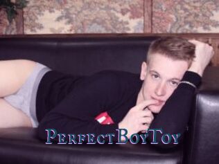 PerfectBoyToy