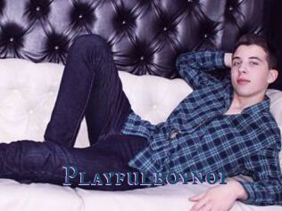 Playfulboynoi