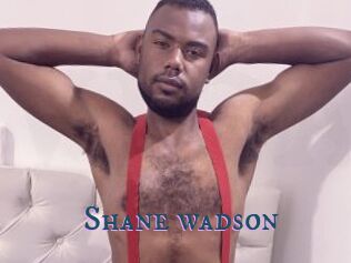 Shane_wadson