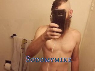 Sodomymike