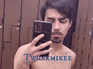 Twunkmikee