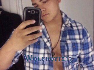 Wolfboy1213